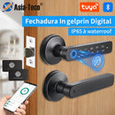 Fechadura Eletrônica Digital Inteligente Tuya M5 BLE com Leitor de Impressão Digital, Senha/Chave/Cartão IC (Opcional)/ Desbloqueio via Smartlife/Aplicativo Tuya