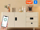 Fechadura de came sem perfuração Tuya Smart Fingerprint Lock para armários, portas, gavetas, arquivos, caixas de correio, móveis e lockers.